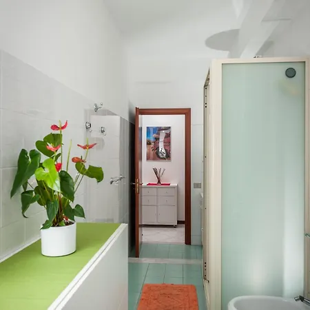Apartment Il Delfino *