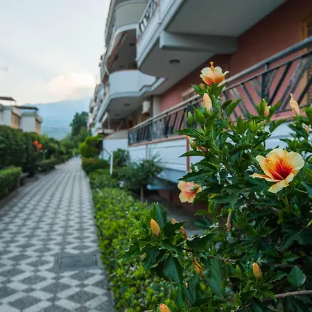 Il Delfino Apartment Riposto