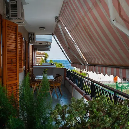 Il Delfino Apartment